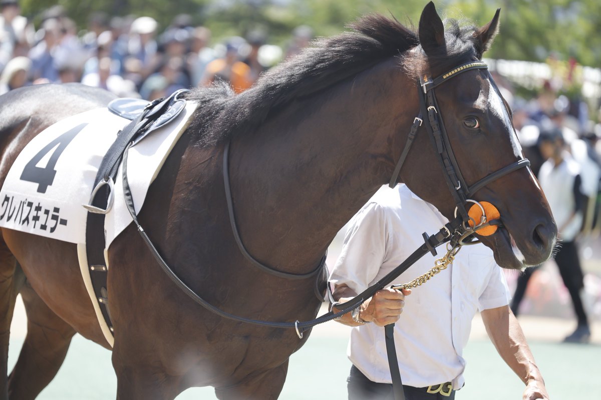 まねき馬SP ダートホースBEST10 砂王 J-34ゴールドアリュール TAKion (@takion_134) / X