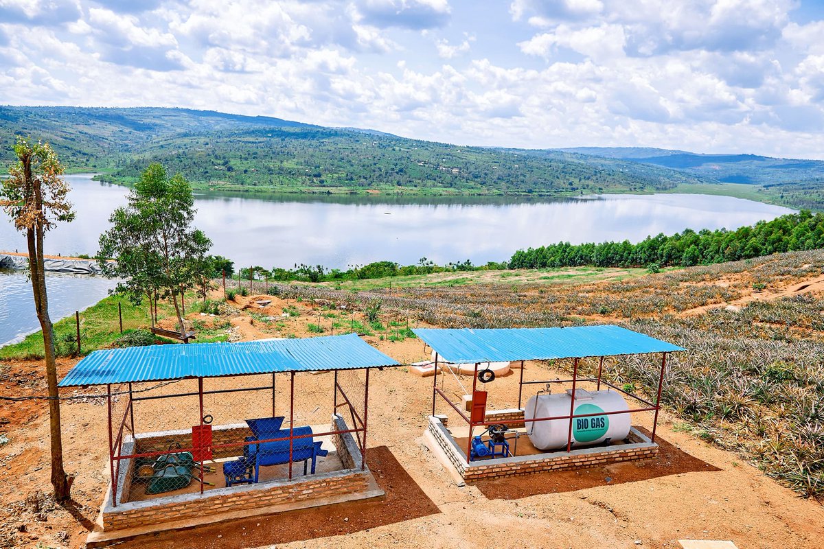 VisitNgoma's tweet photo. This is #Ngoma #Mugesera lake where you can set different projects and Businesses. https://t.co/IRpOl5IfLM