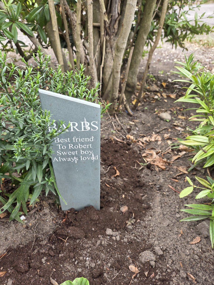 Marg Lloyd tweet media