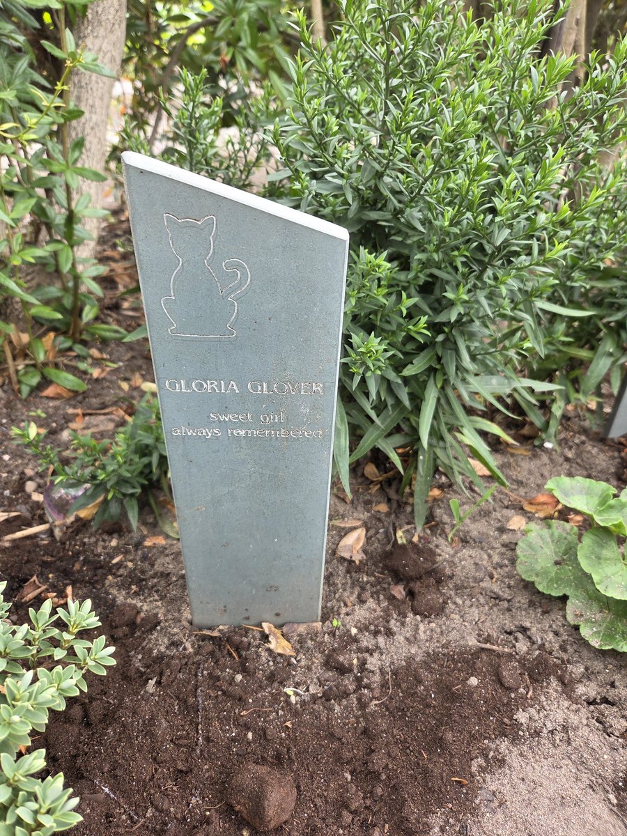 Marg Lloyd tweet media