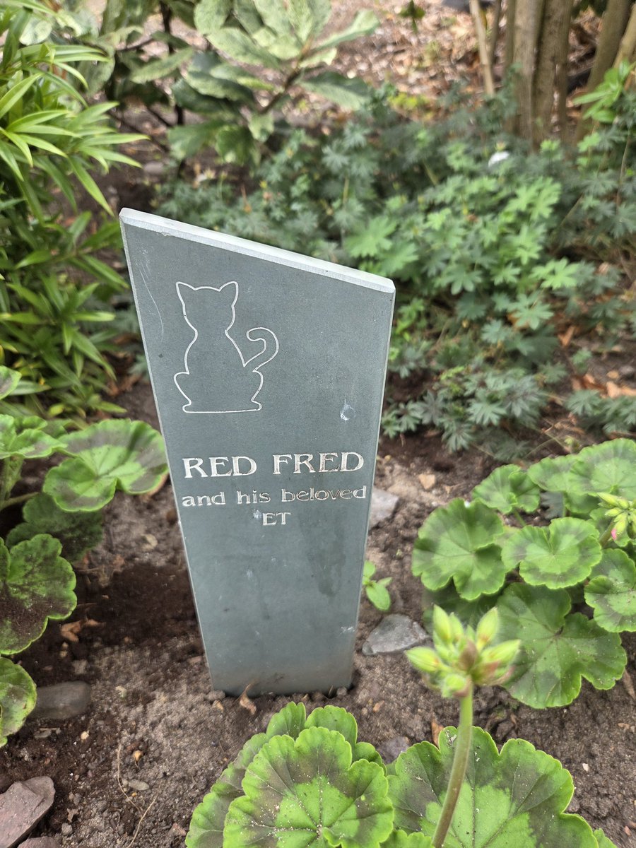 Marg Lloyd tweet media