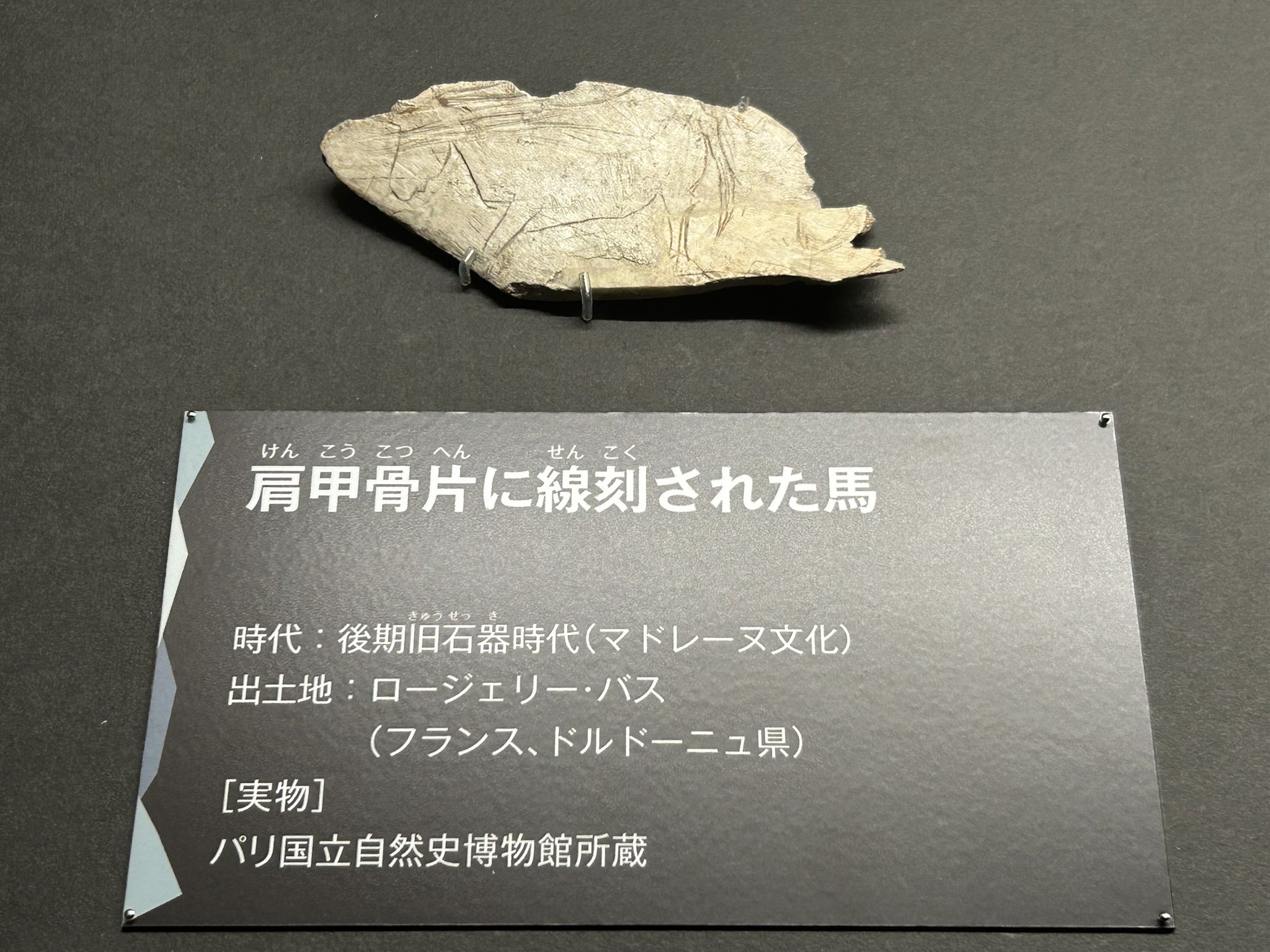 石冠？岩偶？石錘？旧石器時代　(出土品)　約10㎝×7㎝×4㎝　約370gです。 chiba_kofun on X: 