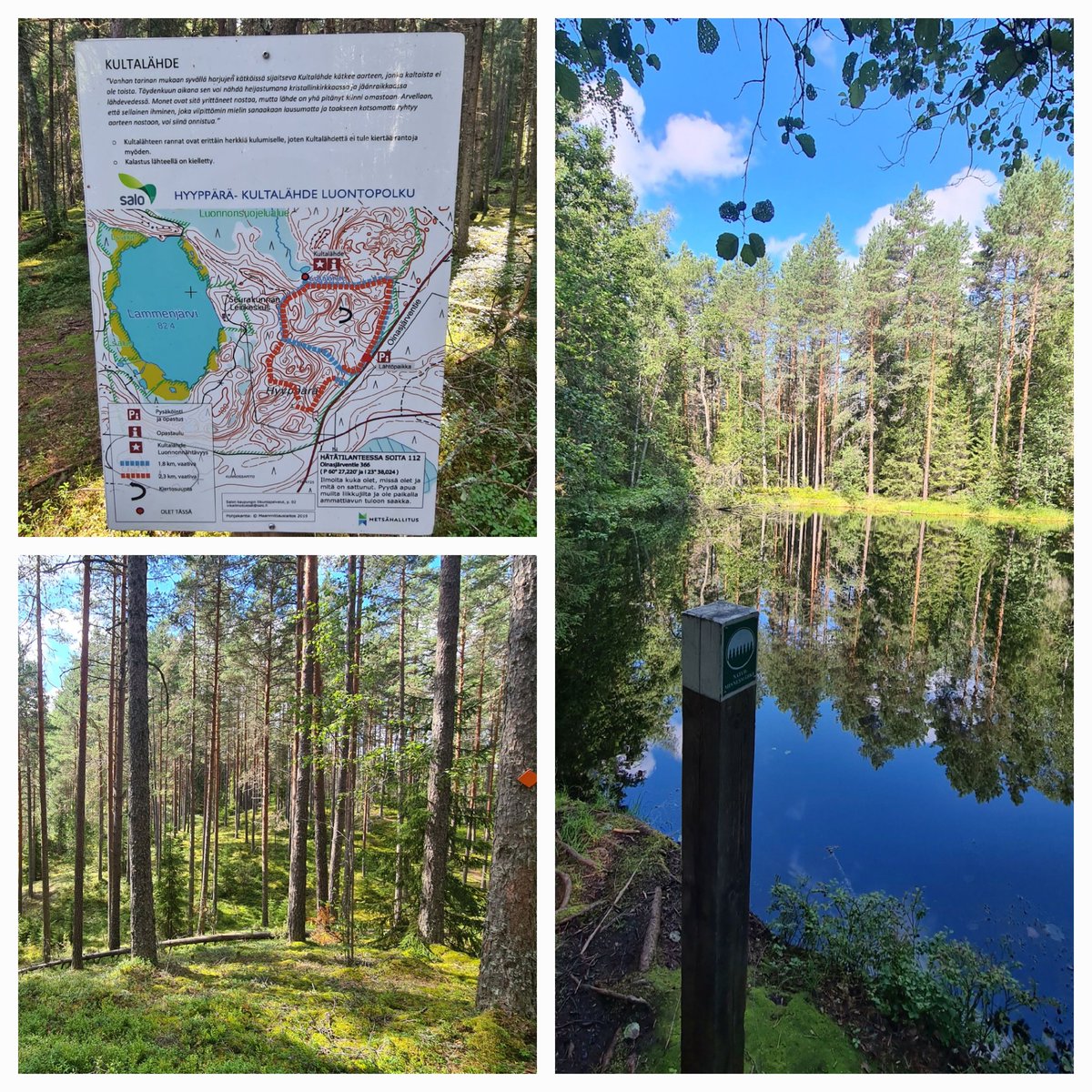 Hyyppäränharju ja Kultalähde. Varsinais-Suomen vuoristo. #luonto #salosummit