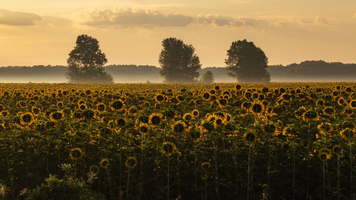Рідко роблю горизонтальні кадри