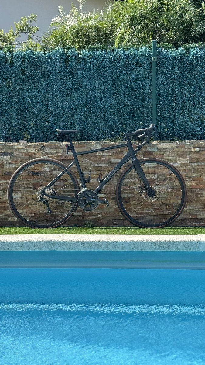 _Pitu_'s tweet photo. Me retiro, Vitality no llega a una final y Fernando Alonso casi pole. 

¿Eso es el famoso efecto mariposa?

Domingueo de pedales y piscina para compensar el primer sábado en 3 semanas que duermo en casa 🚴🏊 https://t.co/HG31XfFOXM