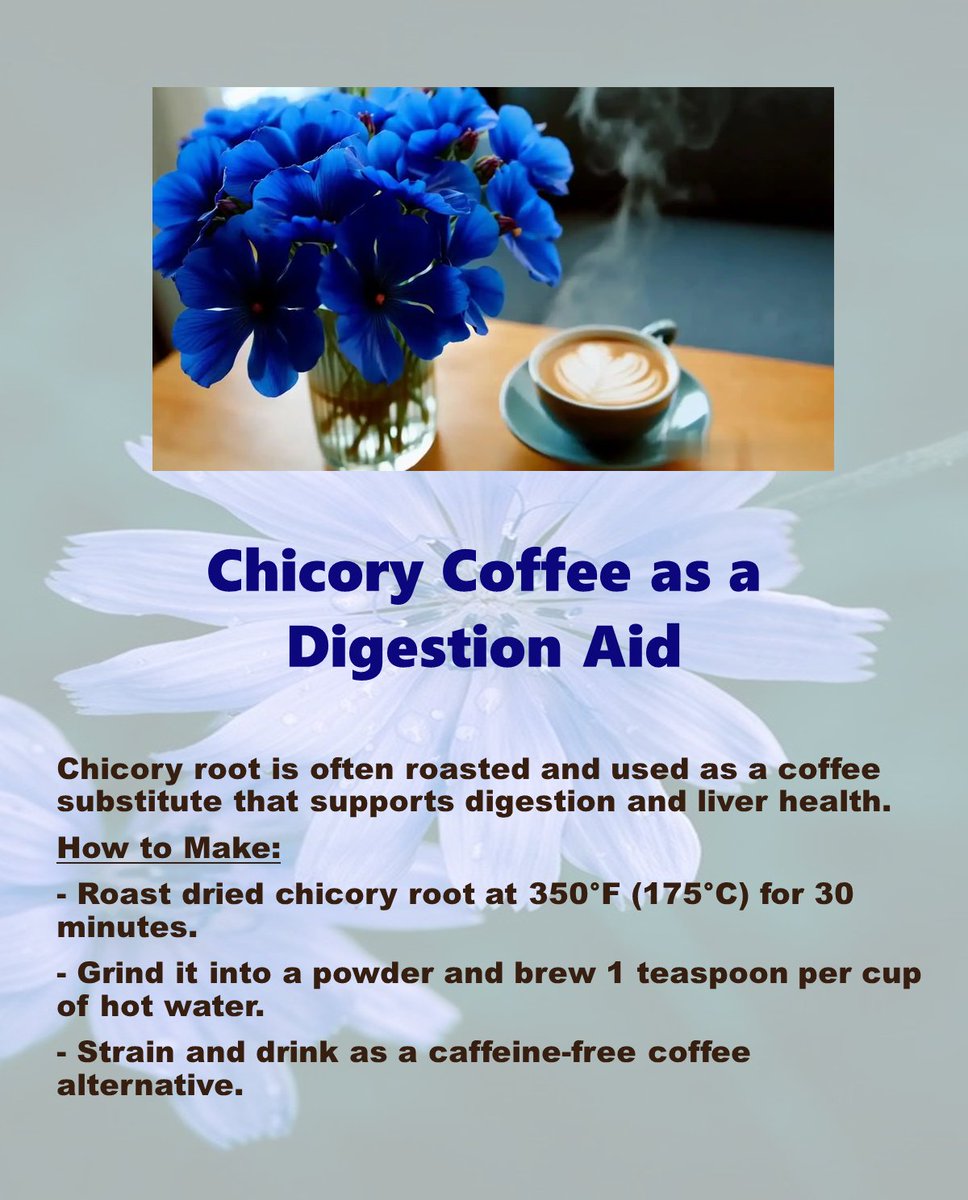Bright_Choices2's tweet image. Chicory coffee—a caffeine‑free brew  It supports gut health by feeding good bacteria, easing bloating, and improving regularity.
#ChicoryCoffee #GutHealth #FiberBoost #Wellness #gardening #caffeineFreeCoffee