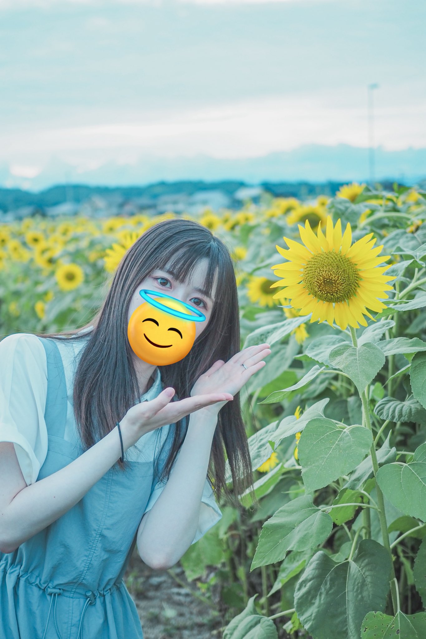 ハルです✩ 春川ハル。〜LINEスタンプ販売中〜 (@micch_mil) / X