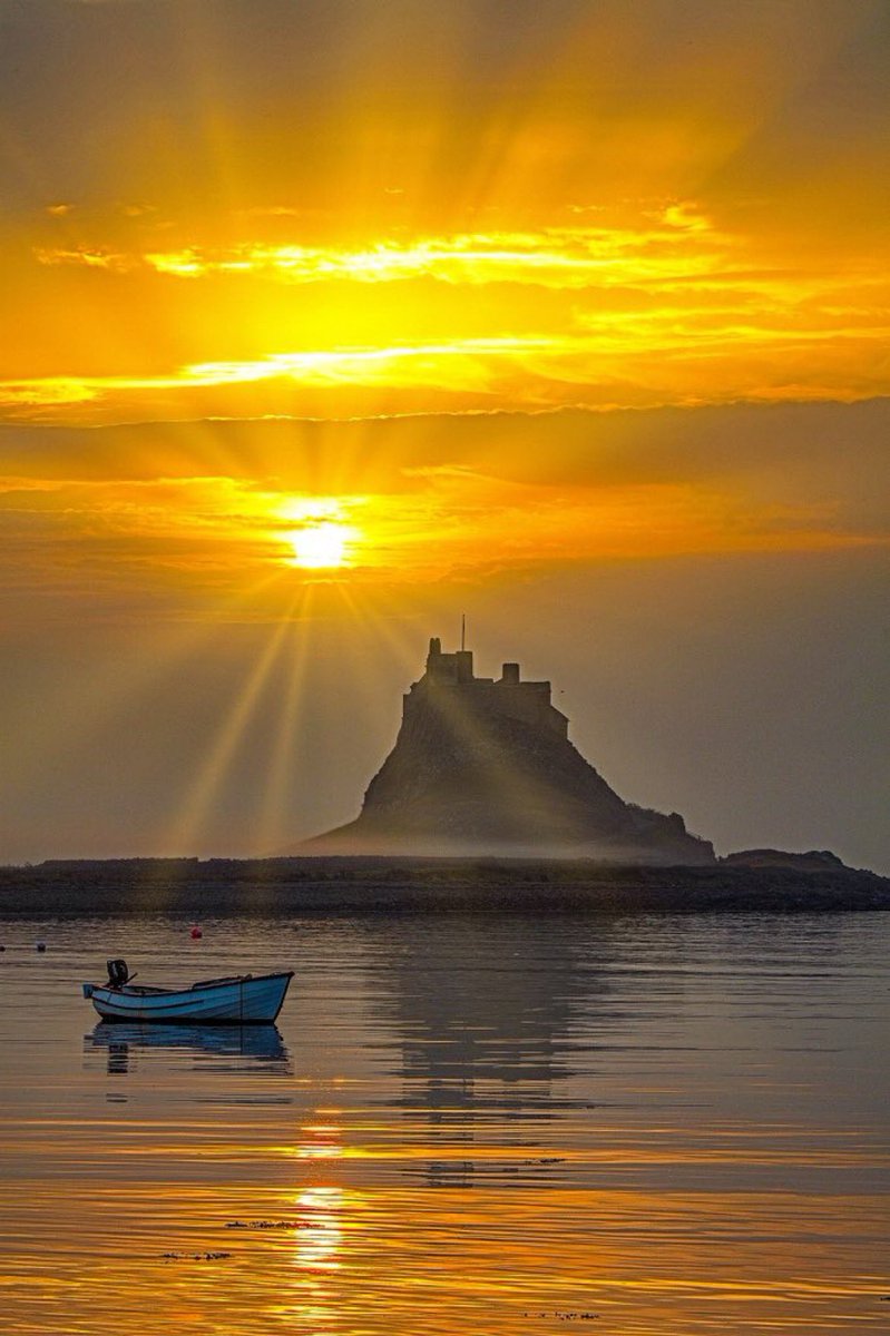 Graeme Peacock tweet media