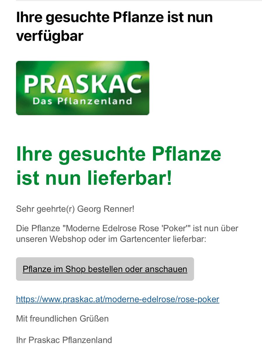Der beste Sonntagsnewsletter 😍