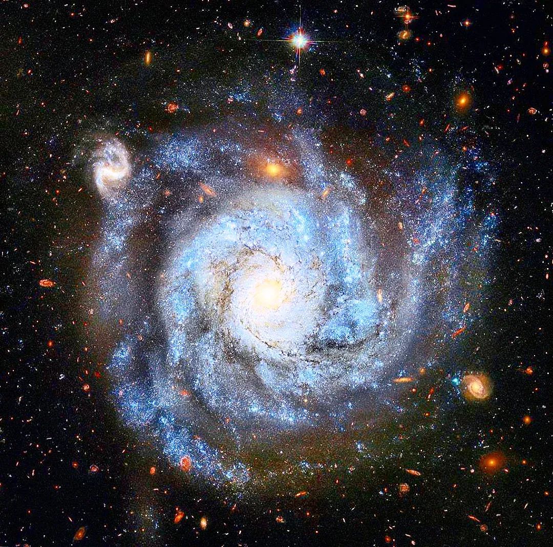El hubble examina una espiral rica en supernova. 
La galaxia espiral NGC 1309, se encuentra en la constelacion de Eridanus a 100 millones de años luz de distancia. 
Mas informacion: 
ESA/HUBBLE
science.nasa.gov/missions/hubbl…