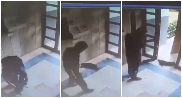 Cezve’yi katleden katil hapiste, 

umarım aynı işkenceyi ve ölümü cezaevinde yaşar.  

Allah’tan dileğimdir.

 #BurakAlanTutuklansın
 #cezveicinadalet
 #pazar