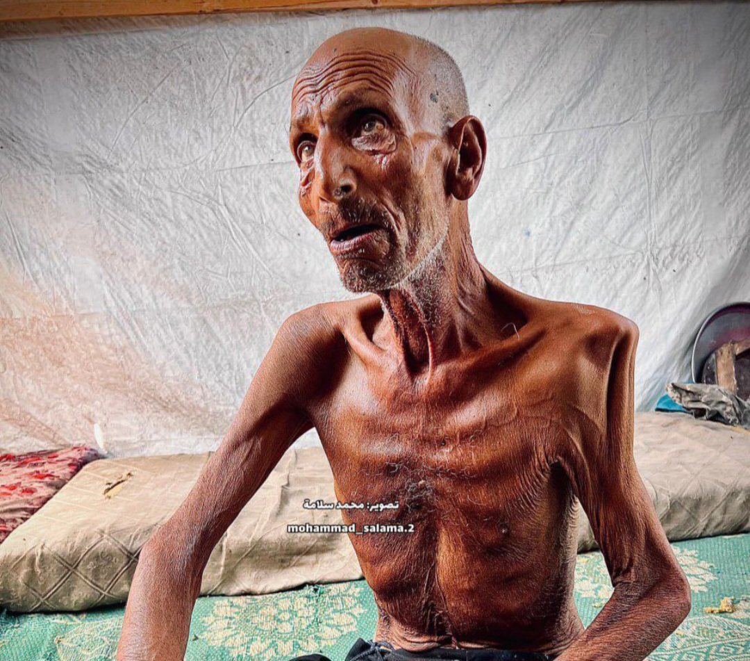 hamoodalnoofli's tweet photo. #عاجـــــــــــــــــــــــل
⛔نداء لكل الأحرار:
⛔كل ما عليك هو نسخ هذه الحسابات والوسوم ثم تغرد بصور ومقاطع عن معاناة غزة، لأن المبعوث الأمريكي نقل للعالم أنه لا توجد مجاعة فلا بد من فضحه. 

🌍 شاركوا في تغريداتكم حسابات الأمم المتحدة والمنظمات الدولية المؤثرة 
 @UNRWAarabic  
   @UNICEF 
@UN
@MSF_intl   
 @IfNotNowOrg    
 @CodePink  
 @Artists4Ceasefire
  @UNRW                
            @UNICEF                        @MSF_intl               @IfNotNowOrg          
 @CodePink                        @Artists4Ceasefire
 
⛔قائمة الوسوم الاجنبية المتصدرة حاليا:
#Gaza
#GazaUnderAttack
#FreePalestine
#Palestine
#SaveGaza
#GazaCrisis
#BoycottIsrael
#BDSMovement
#IsraeliApartheid
#AllEyesOnRafah

⛔قائمة الوسوم العربية:
#غزه_تموت_جوعاً 
#غزه_تباد_وتحرق 
#غزة_تُجوع
#غزة
