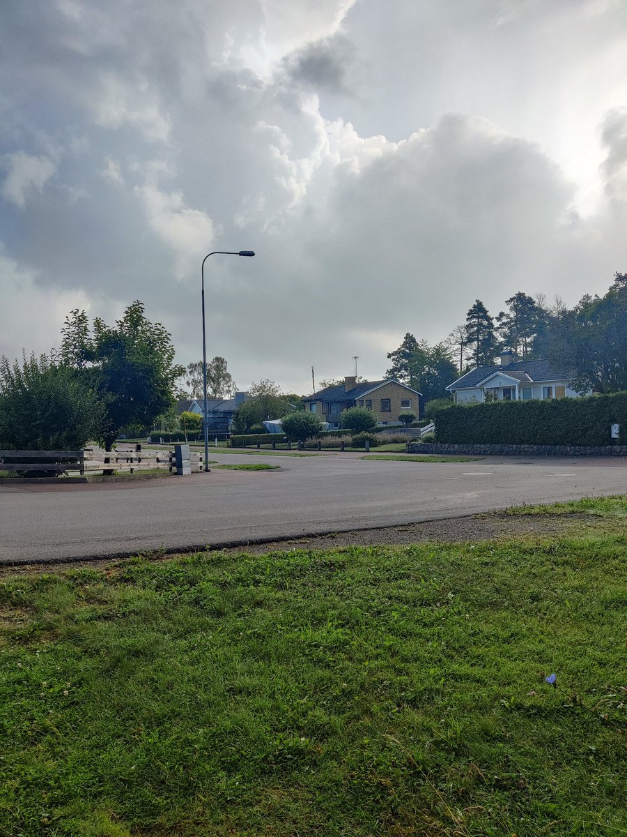 Morgan Magnusson tweet media