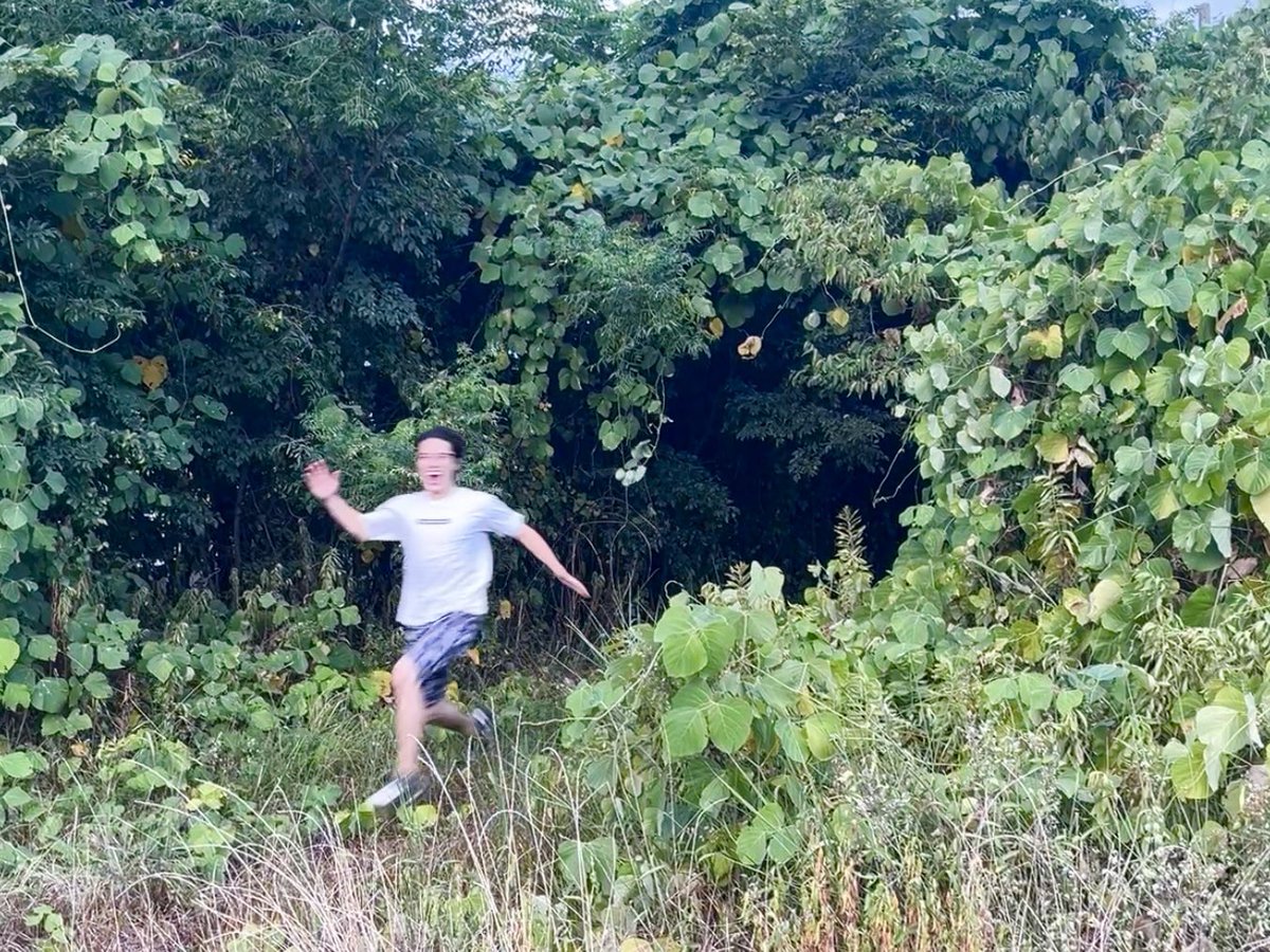 jaja_jajamaru's tweet photo. トトロいたもん！！！！！！！ https://t.co/njgOVMwDQH