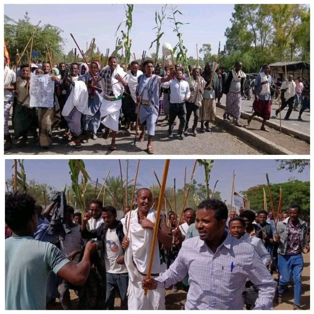 አታ ጨርጨርታይ ብዓል መንደፈራ 
ራየታይ ብዓል ሓጭር ዕጣ
18 ኬላታት ኣብ ሓንቲ ወረዳ
#ጨርጨር ንታሪክ ይመዝገብ
* ጣብያ ሃድኣልጋ፥ 5 ኬላታት:
* ባላ፥ 4 ኬላታት:
* ናብ ጨርጨር መእተዊ፥ 4 ኬላታት:
* ካብ ውላጋ ናብ ጨርጨር: 5 ኬላታት እዮም ተገይሮም