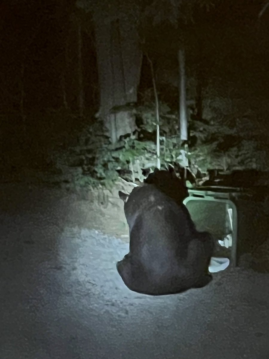 🍁Troy🍁 tweet media