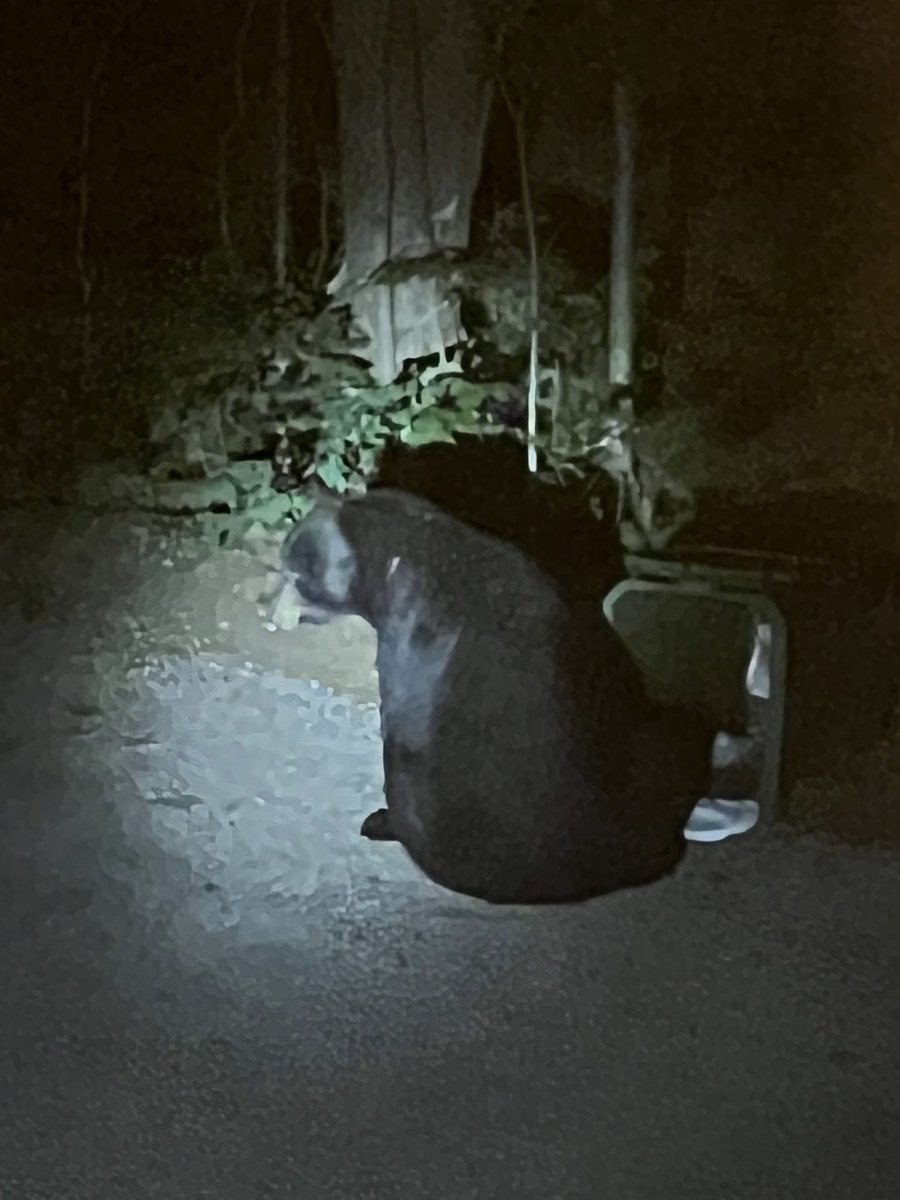 🍁Troy🍁 tweet media