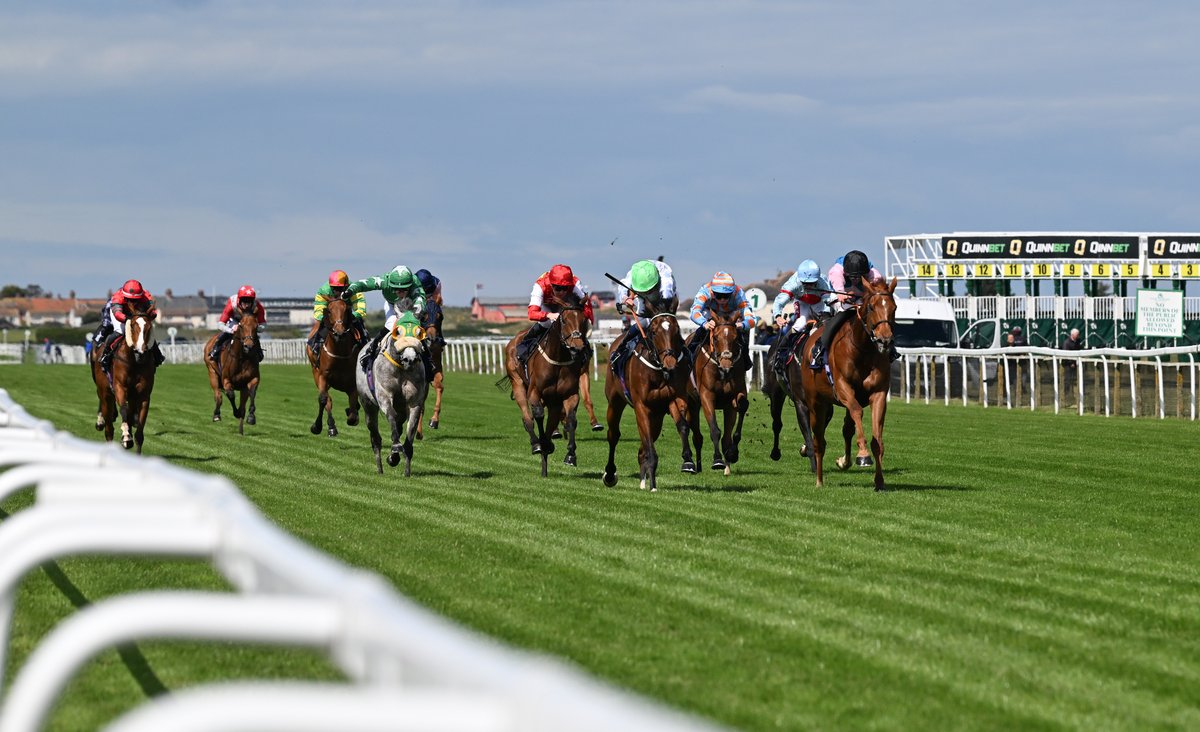 🐦Pigeon🐎Island🐦 (@pigeon_island) on Twitter photo 🐎Horse Racing Tipping Competition🐎
🐎 SUNDAY 3 AUGUST 🐎 #QuickSwoop4
<a href="/GTYarmouthRaces/">Great Yarmouth Races</a> 307 342 412 442
📺 <a href="/SkySportsRacing/">Sky Sports Racing</a> 📺 #OpenToAll ✅ 🐎Horse Racing Tipping Competition🐎
🐎 SUNDAY 3 AUGUST 🐎 #QuickSwoop4
<a href="/GTYarmouthRaces/">Great Yarmouth Races</a> 307 342 412 442
📺 <a href="/SkySportsRacing/">Sky Sports Racing</a> 📺 #OpenToAll ✅