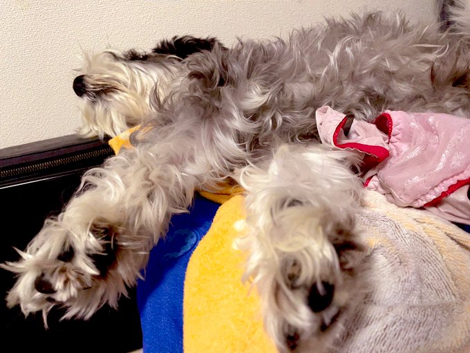 気持ちよさそう、、、 