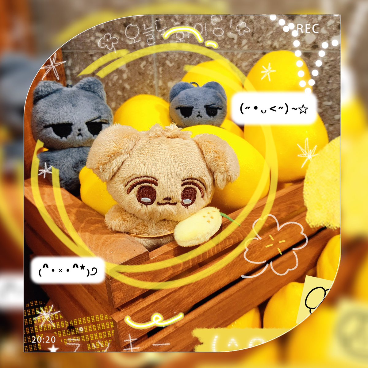 ₊⁺★ ₊✧˚ 🍋﹕︶︶﹕૮₍ ´ ꒳ `₎ა^-ㅅ-^﹕︶︶﹕🍋 ˚✧₊⁺★₊