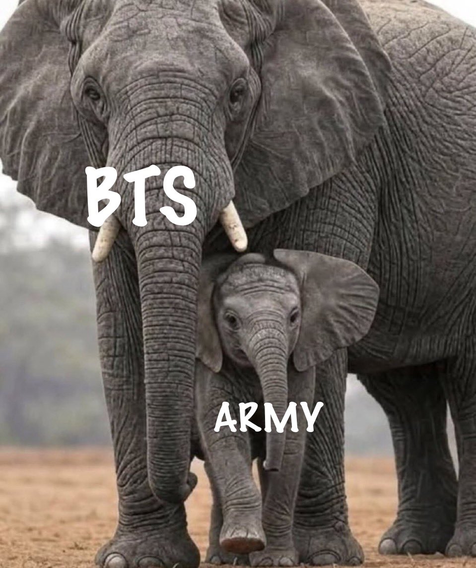 What WE feel.           What THEY feel.