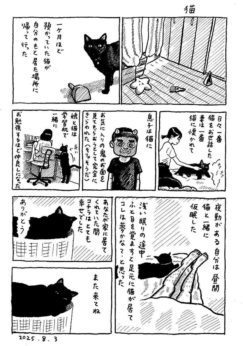 猫 