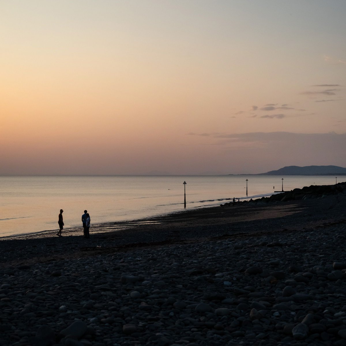 Lewis Bush tweet media