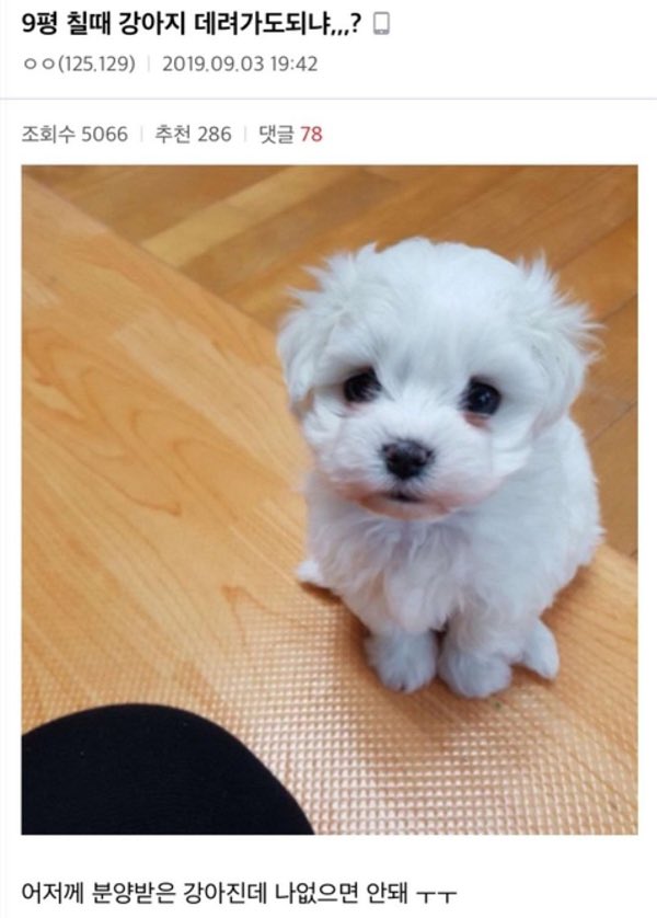 마신광광 (섹시도치&깡통로봇랜드에서사랑을나눕시다) tweet media