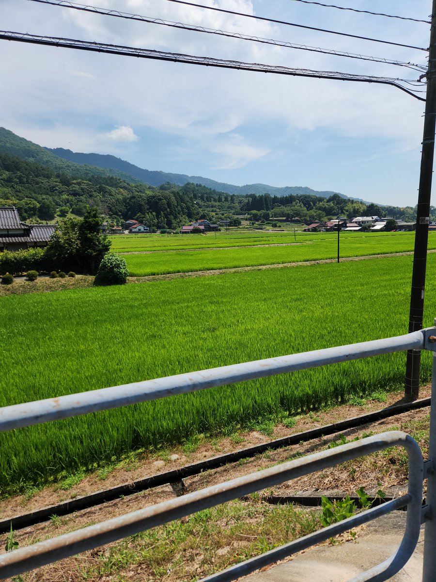 一人で山奥行くと頭おかしくなるわ