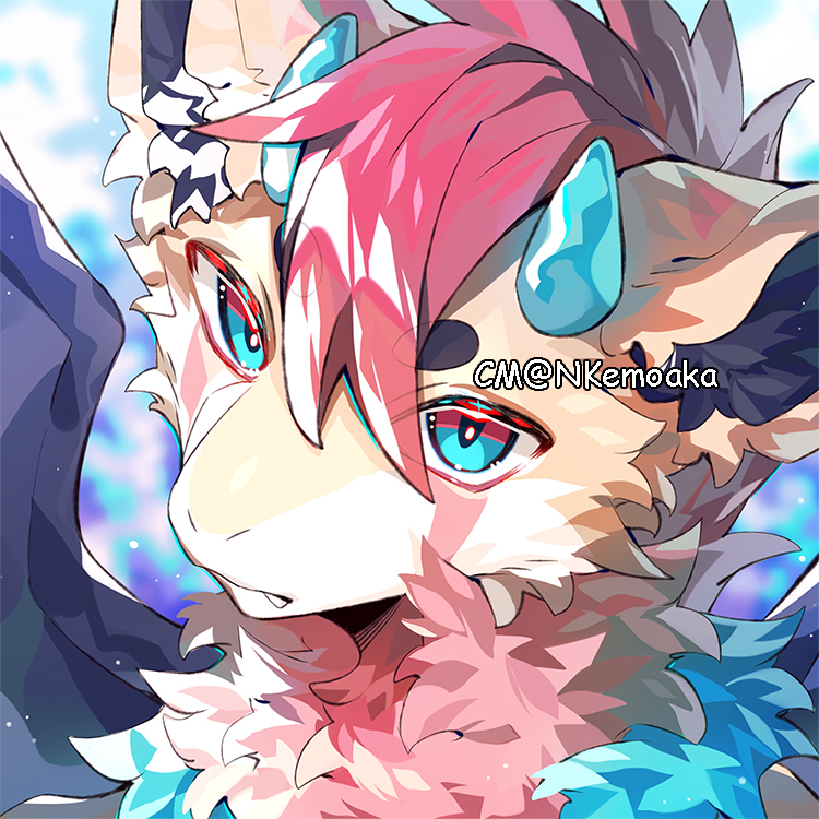 ✨ (@nkemoaka) on Twitter photo 