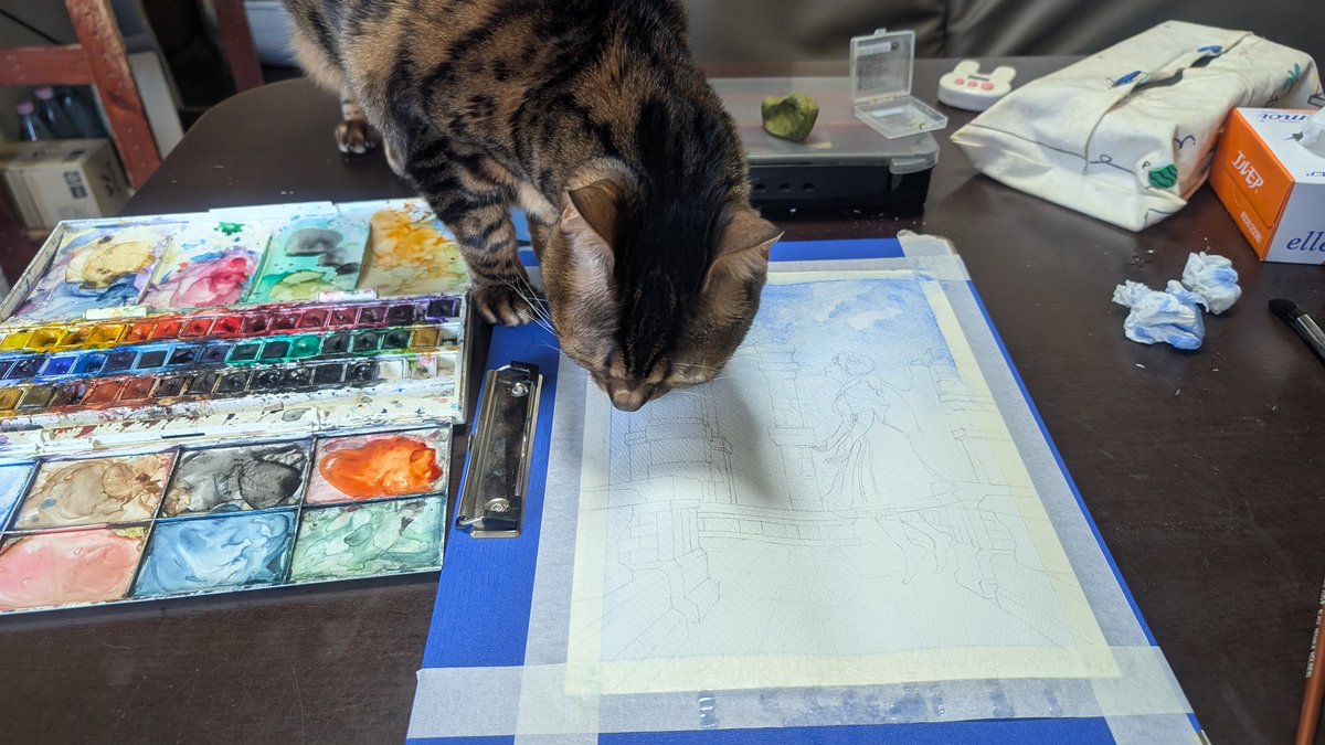 #ネコハラ
来ないでください…