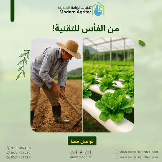ModernAgritec's tweet photo. إذا كنت لسه تفكّر إن الزراعة زي زمان، فأنت للحين ما تعرف عن تقنيات الزراعة الحديثة!" 📷
اختصر الطريق.. وخلّ التكنولوجيا تشتغل بدالك!

تواصل معنا وابدأ مشروعك الزراعي بدون تعقيد من أي مكان بالمملكة العربية السعودية! (920005488 - 0531121717 - 0531151717) https://t.co/9Cex0bvLHt