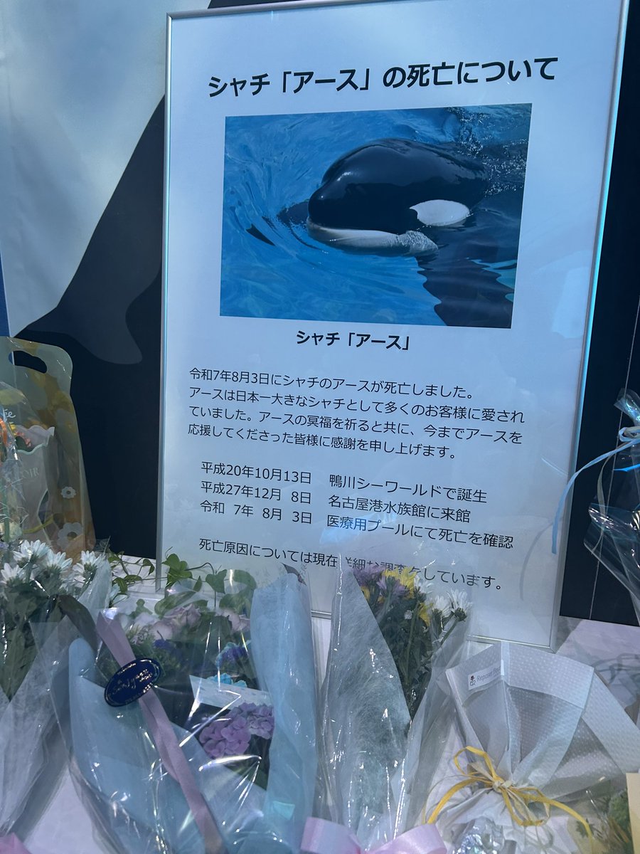 s2_non_382's tweet photo. お別れしてきた
ありがとうアースくん https://t.co/i9eBgBd35s