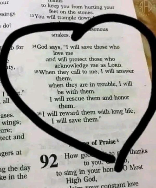 Bible 365 (@bible365_) on Twitter photo 