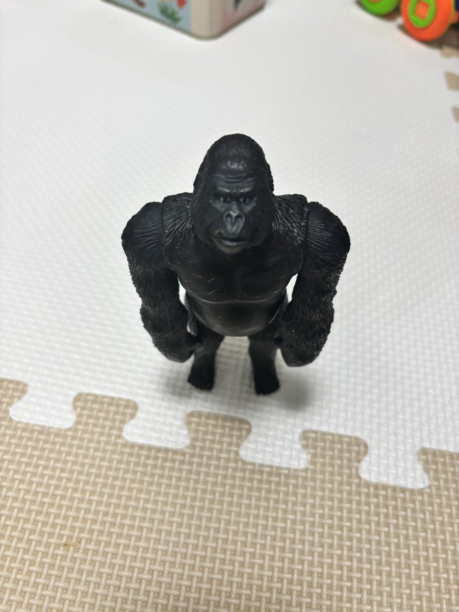 bazu_f's tweet photo. リサイクルセンターでもらってきたゴリラのフィギュアがツボってる https://t.co/NK6DpNliuX