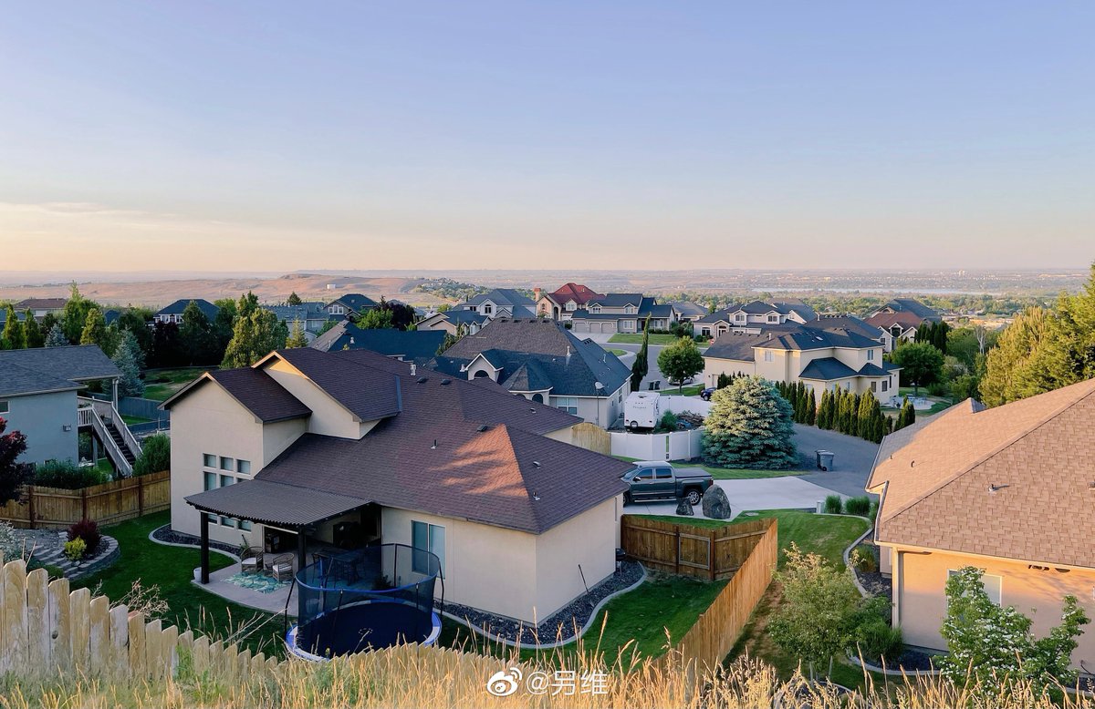 Gala 另维 tweet media