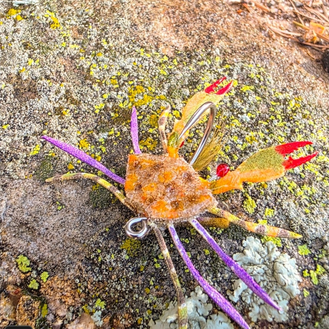 Crabs tied by Steve Maldonado! Watch out Steve, these look that real they are about to crawl off your desk! 

Get our ABC Crab Skeletons  and read more here - semperfli.net/abc-crab-legs-…

#semperfli