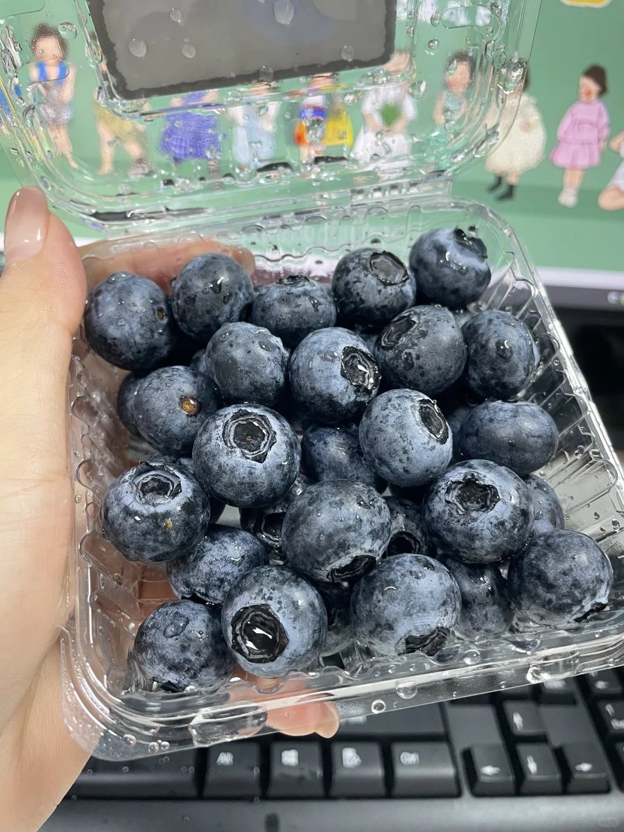 ブルーベリーのアフタヌーンティータイム🍇🫖✨