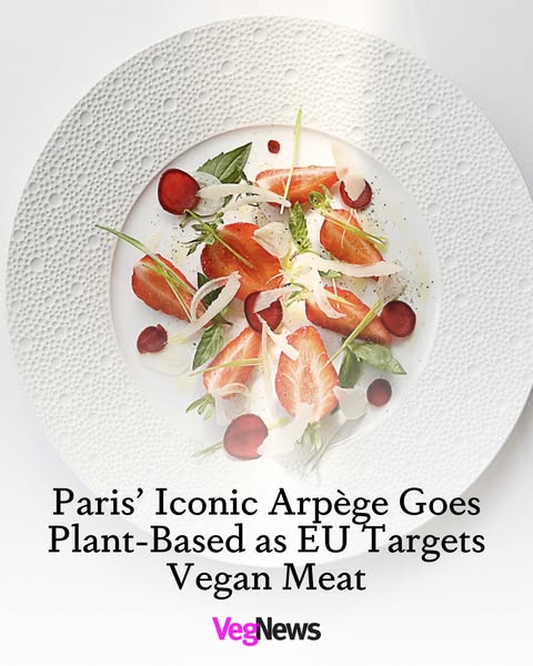When the world's most celebrated restaurants start ditching animal products, you know there's still hope.
vegnews.com/arpege-plant-b…