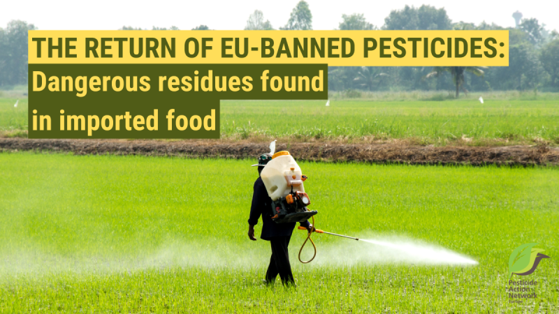 🚜 The EU farm chief, Christophe Hansen, recognised that it is unfair to allow food imports with residues of #pesticides banned in Europe. We have been warning about this for years.
pan-europe.info/node/3975