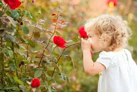 حاسة الشم ليست مجرد ترف، بل مؤشر مهم على صحة الأنف والدماغ.
فقدانها قد يحدث بسبب الزكام، الحساسية، لحميات الأنف، أو إصابات الرأس، وأحيانًا يكون إنذارًا مبكرًا لأمراض عصبية.
#حاسة_الشم #صحة_الأنف