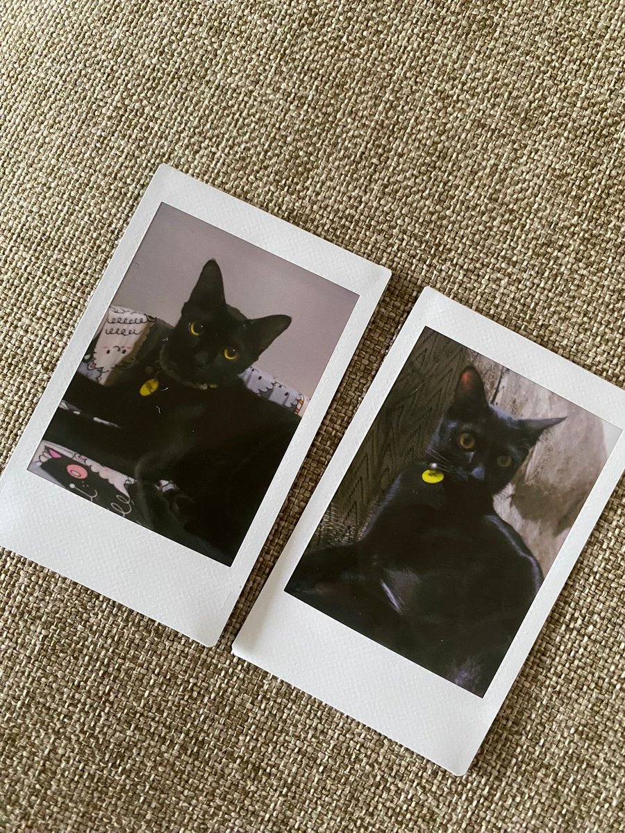 goddayfrizz's tweet photo. yg mau cetak polaroid asli fujifilm lgsg cek oren ya kaaaaak https://t.co/RbInasq1pf https://t.co/MTJASnNe3N