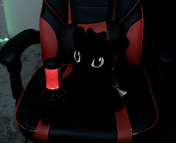 Recordar es volver a vivir