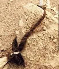 #unutmadık
#SengalKatliamı 
#FermanaEzidiyan