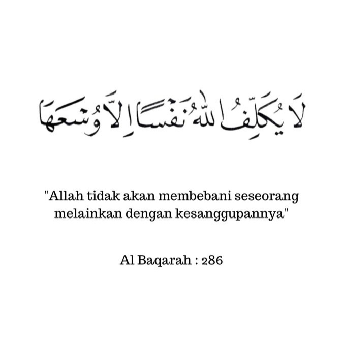 Al__Quraan's tweet photo. — Al-Baqarah https://t.co/5hrrR76TXv