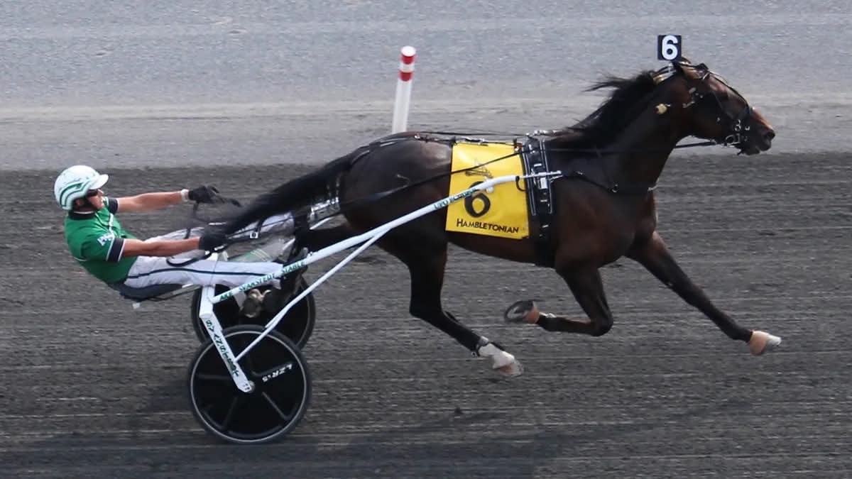 Nordic Catcher S #SixPack won the Hambletonian at the Meadowlands in 1.50 ⏱️. Conversano #MuscleHill won Hambletonian Oaks 🇺🇲🥇