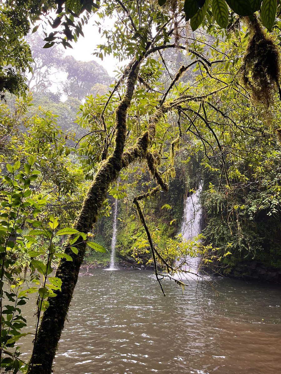 themkare's tweet photo. Chasing Thuci Waterfall in Irangi Forest, Embu County; A 22 Kms trail with gentle inclines and lots of flat sections. The pool is huge and surrounded by this gorgeous jungle. 
It’s a 4hrs drive so leave Nairobi by 5. Our rangers John and Julius were amazing! Highly recommend 🙌 https://t.co/aQE59cA00m