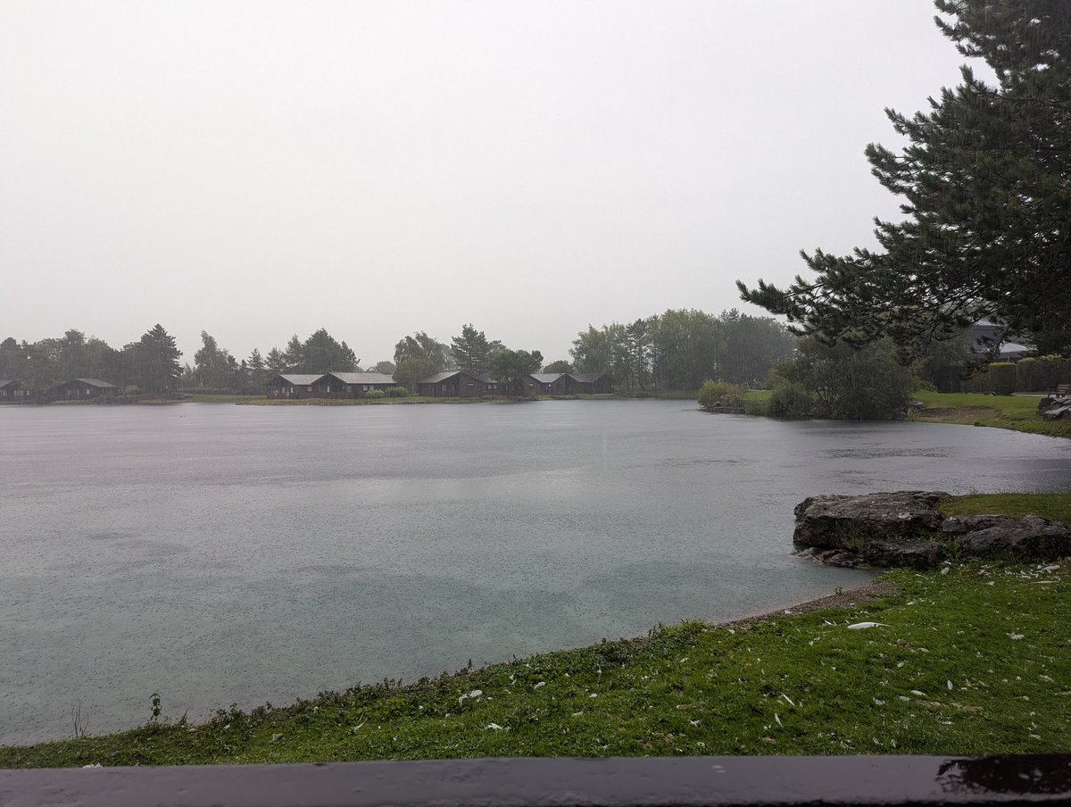 They say rain is nice weather for ducks, yet the dozens of ducks that live here are all saying "nope, not today"