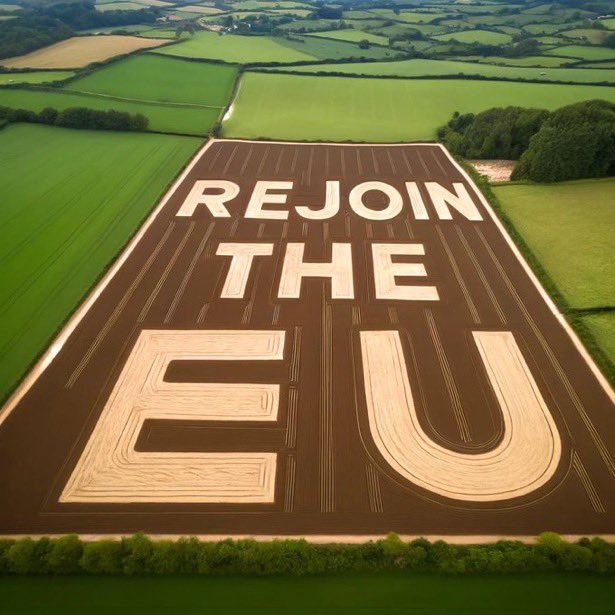 Brexit made it legal for the UK government to increase Taxes 🚜 
But those in Northern Ireland may be exempt thanks to it being in the single Market.

One Union. Two tax systems. 100s of Loop Holes. Brexit isn’t working 🇬🇧❤️🇪🇺

#BrexitReality #RejoinEU
