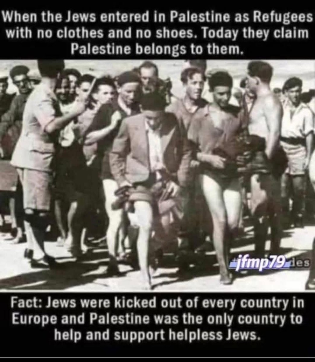 Emelia (@vikingwarior20) on Twitter photo 